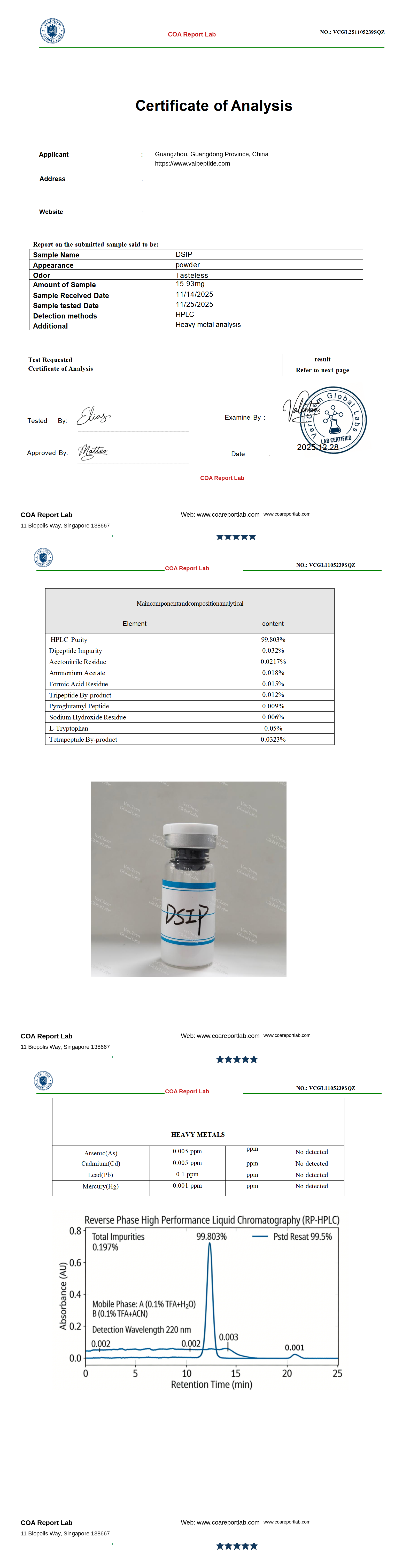 DSIP Complete Analysis Report